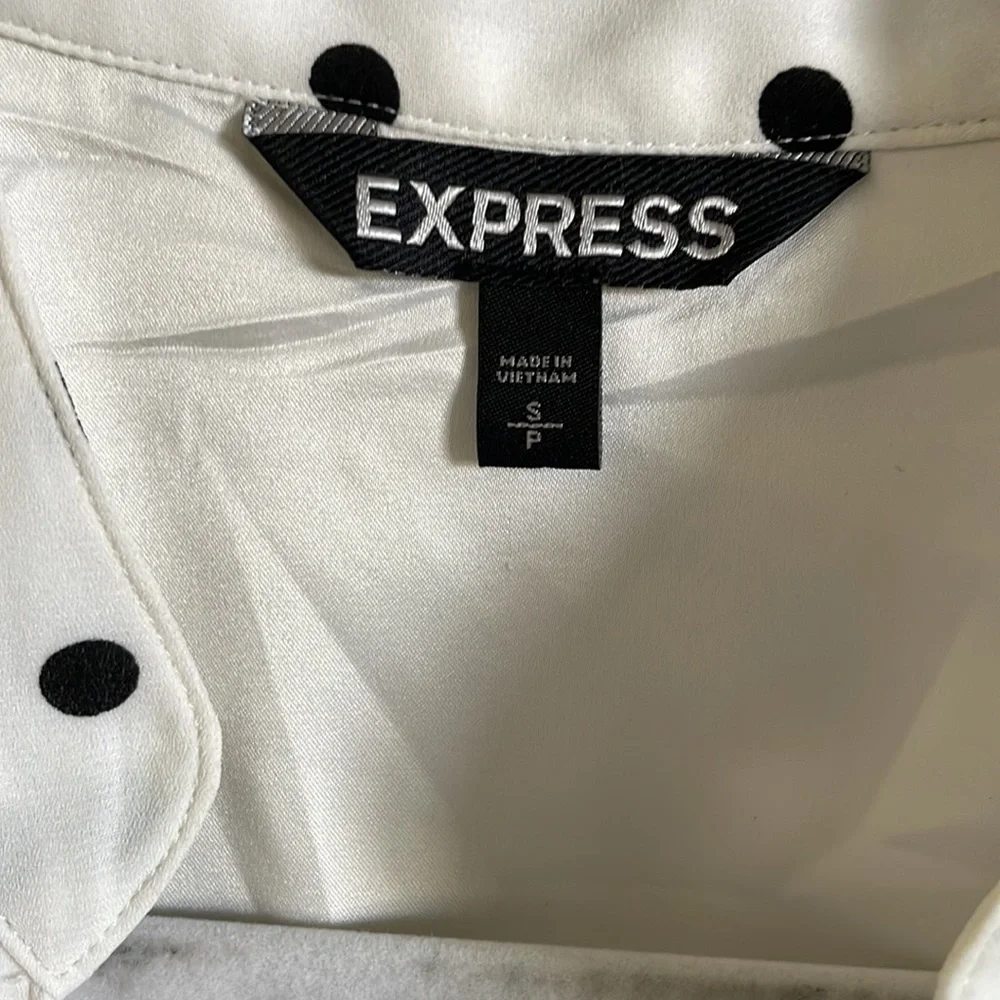Express Dress - Picture 4 of 5